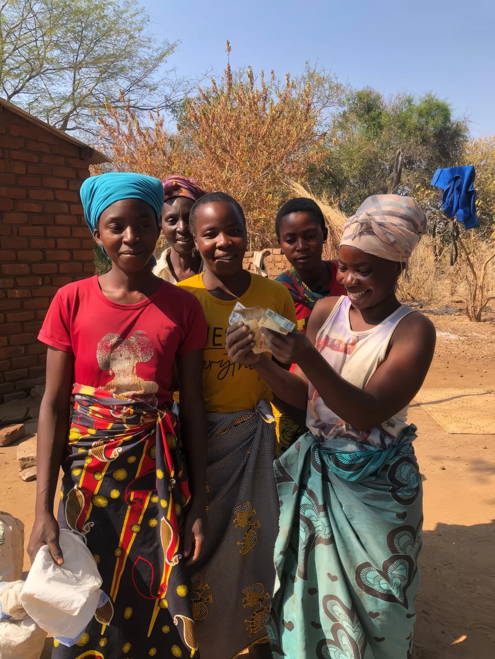 Women harvesters collecting Marula fruit, Luangwa Valley Zambia
